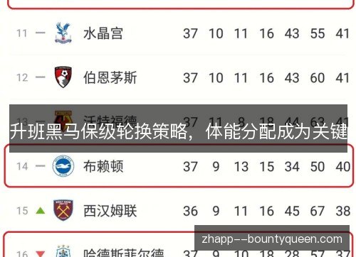 升班黑马保级轮换策略，体能分配成为关键
